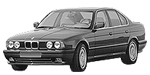 BMW E34 P011D Fault Code